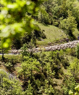 Pastoralisme et biodiversité / Balade commentée
