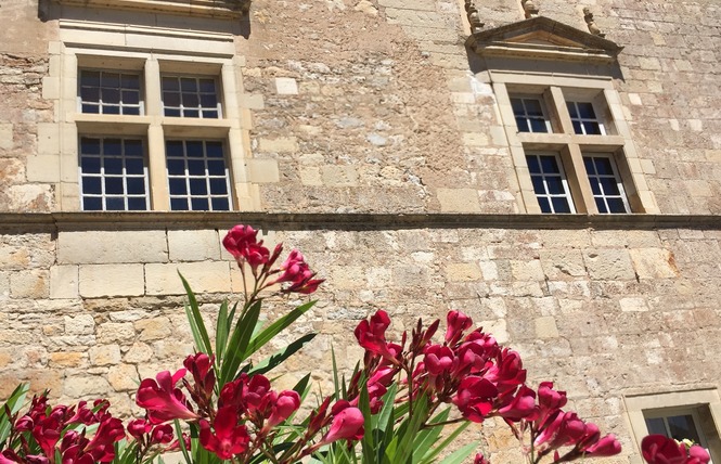 Château de Cénevières 7 - Cénevières