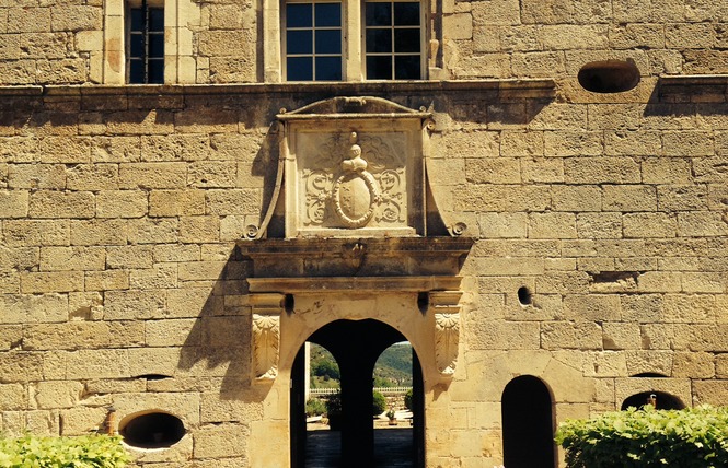 Château de Cénevières 8 - Cénevières