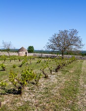 Du sous-sol au verre à vin / Dégustation géologique