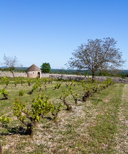 Du sous-sol au verre à vin / Dégustation géologique