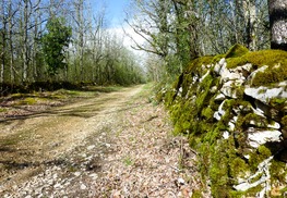Chemin passant par le pech del Piatzé © Lot Tourisme - C. Sanchez