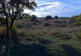 Lalbenque - Paysage