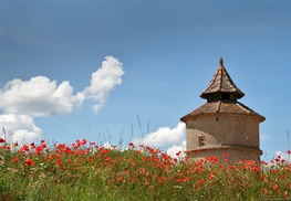 Lalbenque - Pigeonnier