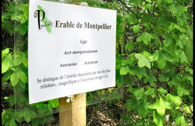 Gîte d'Étape de Poudally 21 - Lalbenque