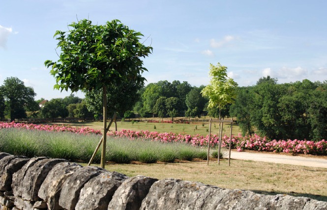 Balade sur le Causse de Gramat 3 - Lavergne