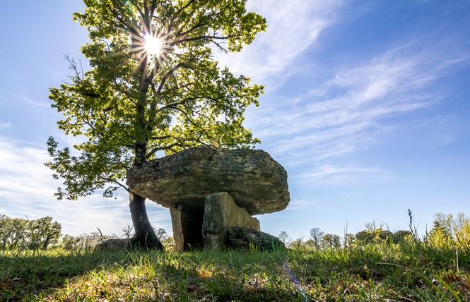Les Dolmens de Limogne-en-Quercy 2 - Limogne-en-Quercy