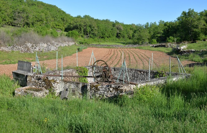Les Dolmens de Limogne-en-Quercy 4 - Limogne-en-Quercy