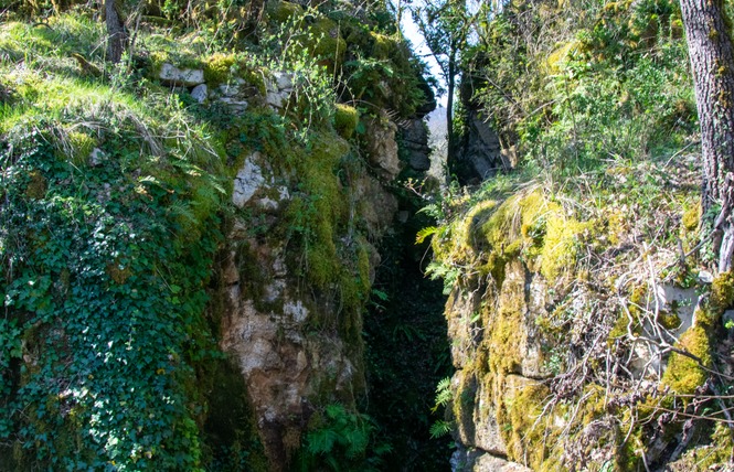 Le sentier karstique de l'igue de Crégols 11 - Crégols