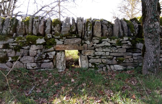 Les Dolmens de Limogne-en-Quercy 10 - Limogne-en-Quercy
