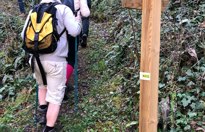 Le sentier karstique de l'igue de Crégols 8 - Crégols