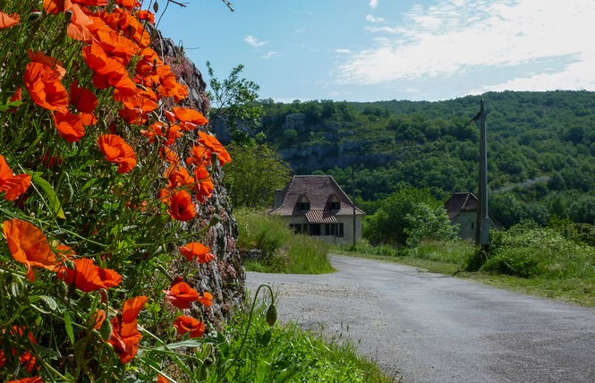 Circuit du Roc-Traoucat 8 - Sauliac-sur-Célé