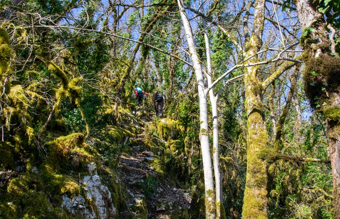 Le sentier karstique de l'igue de Crégols 9 - Crégols