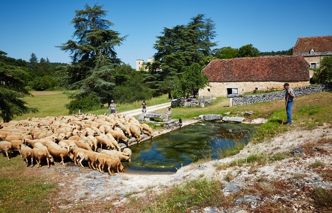 Ecomusée Départemental de Cuzals 12 - Sauliac-sur-Célé