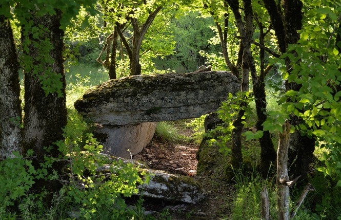 Les Dolmens de Limogne-en-Quercy 1 - Limogne-en-Quercy