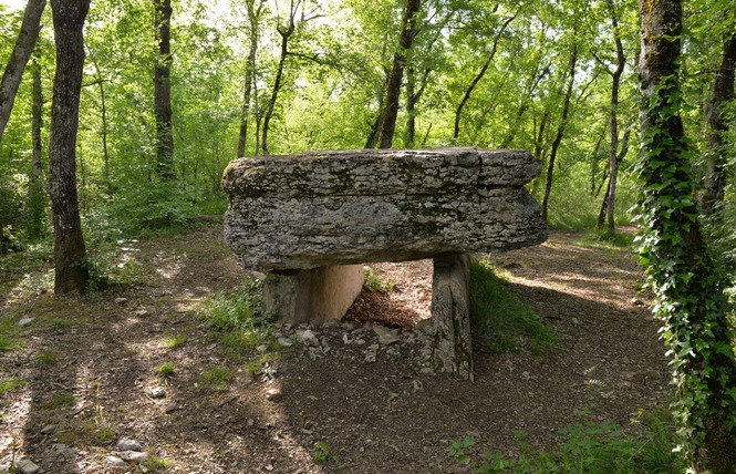 Les Dolmens de Limogne-en-Quercy 3 - Limogne-en-Quercy