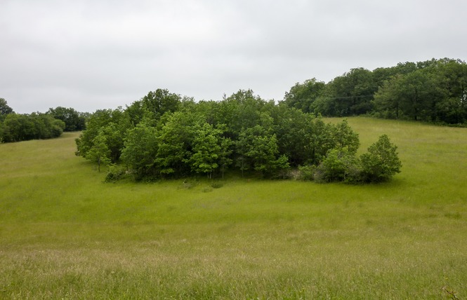 Boucle des Châtaigneraies du Causse 12 - Les Pechs du Vers