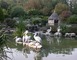 Parc Animalier de Gramat 25 - Gramat