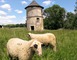 Le Garde-Pile 17 - Assier