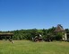Ecomusée Départemental de Cuzals 19 - Sauliac-sur-Célé