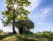 Les Dolmens de Limogne-en-Quercy 2 - Limogne-en-Quercy