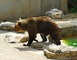 Parc Animalier de Gramat 4 - Gramat