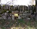 Les Dolmens de Limogne-en-Quercy 10 - Limogne-en-Quercy