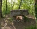 Les Dolmens de Limogne-en-Quercy 3 - Limogne-en-Quercy